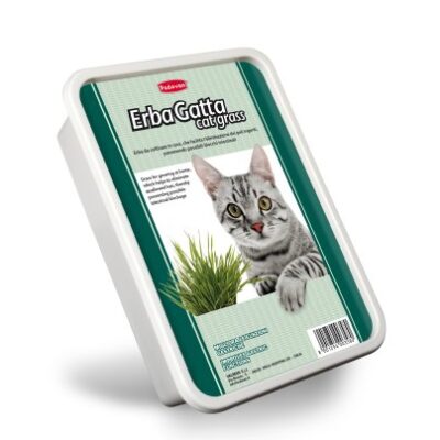 Erba Gatta vaschetta