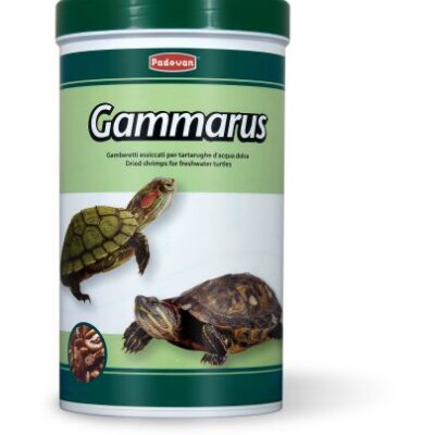 Gammarus