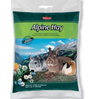 Alpine Hay With Flower