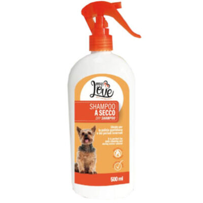 Shampoo A Secco No Gas Cani