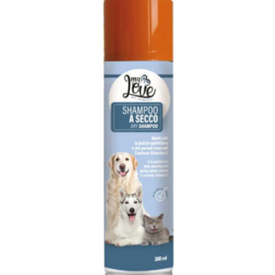 Shampoo A Secco Aerosol