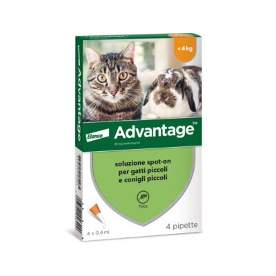 Advantage Antiparassitario Spot on per Gatti sotto 4KG (4 pz)